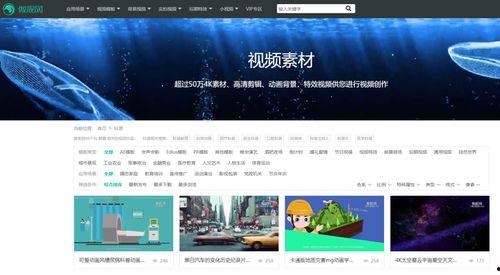 新闻爆料视频素材哪里找,揭秘新闻爆料视频素材的获取途径  第3张